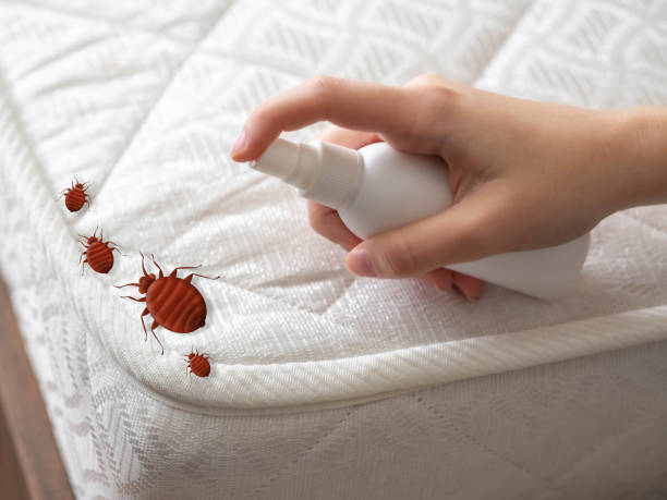 Best Real Estate Pest Inspections  in Rancho Mirage, CA